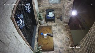 Opossum Porch Pirate