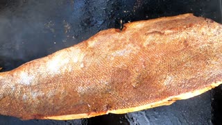 A whole Salmon Filet on the Griddle