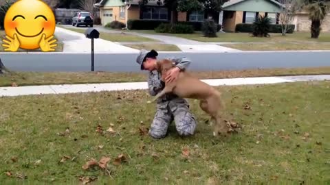 Dog met her owner after years