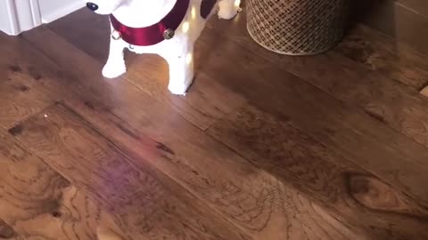 Dog Barks at Christmas Decoration Which Resembles Him