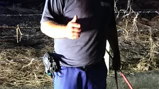 Cobra Rescued from Fishing Net Stuck in Barbed Wire Fence