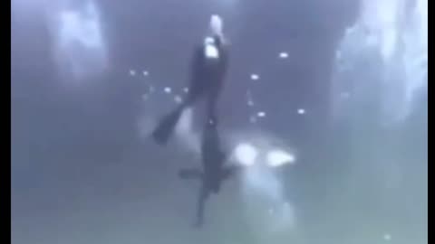 an attack at the bottom of the sea