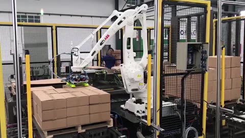Double line Robot palletizer for half layer of cartons #packaging#robot#palletizer#design#machine
