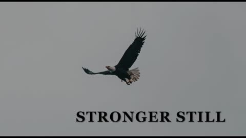 Pray USA 4/26/24 Stronger Still