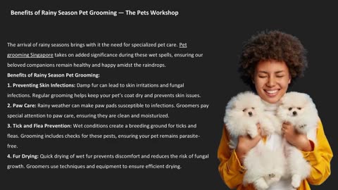 Benefits of Rainy Season Pet Grooming — The Pets Workshop