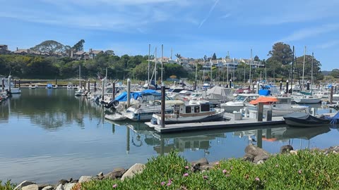Santa Cruz Harbor.