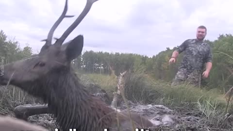 Hunters Drops Their Weapons to Help an Animal in Need