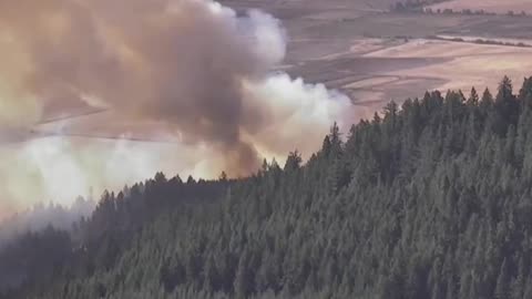 wildfires: Level 3 Go Now order issued for areas near Lookout Fire🔥