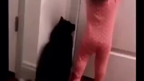 The mischievous makes the cat open the door