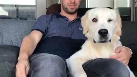 Cute Dog Reacts To Magic