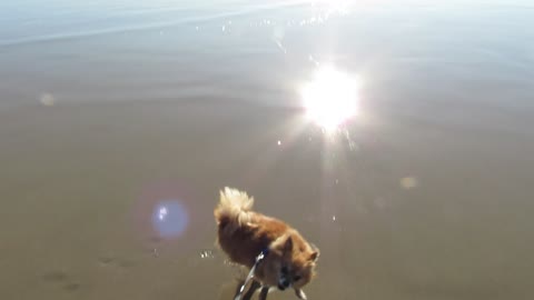 LeLe at the Beach pt. 2