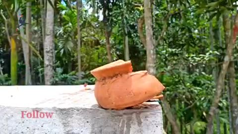 How to make bamboo & Wooden slingshots😳😲