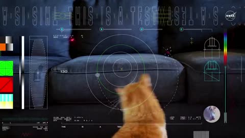 NASA transmite vídeo do espaço profundo estrelado por gato