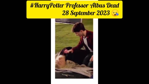 Harry Potter Professor Albus Dumbledore Died