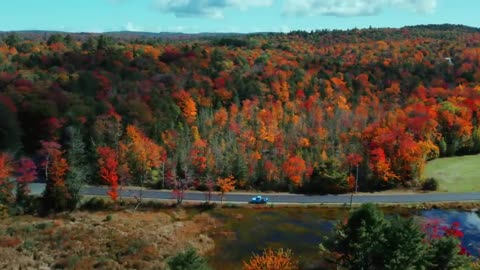 The Beauty of Peak Fall Foliage 🍁 Autumn in New England Part 1-18