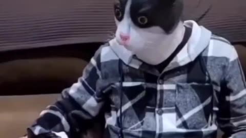 Cat ❤️ Cat 🤣 Funny Scene Ever🤪