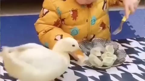 So funny...Babies are bullied by animals || Baby Cute💝