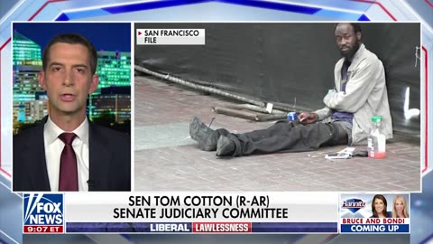 Tom Cotton calls for Blinken to answer before Congress over Hunter Biden laptop cover story