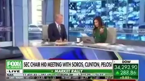 Biden official hid meetings with liberals from the public- meetings with Soros, Clinton, Pelosi.