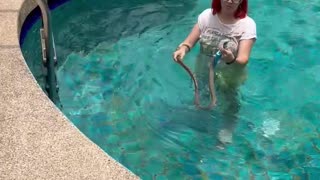 Woman Successfully Relocates Snake from Pool