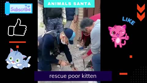 rescue abandoned poor kitten was in a very deep hole