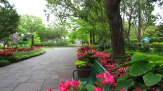 Nature Garden Scenery