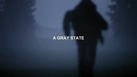 A GRAY STATE | DOCUMENTARY (2017)
