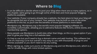 Blog Profits