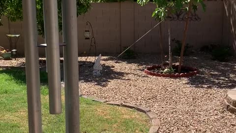 Handmade Steel Windchimes