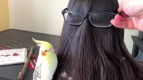 Birbs Got Extremely Excited when Meeting their Idol Harry Potter