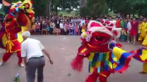 The most beautiful lion dance