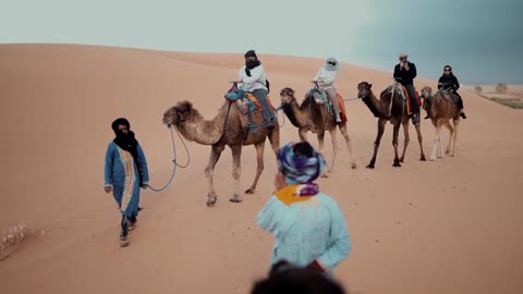 Moroccan Sahara