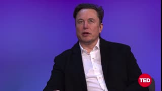 Elon Musk Explains What 'Healthy, Functioning Free Speech' Looks Like