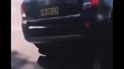 WOW Covid Cultists Crashes Car into Protestor for no Reason - Next Level Ignorance