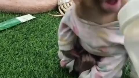 Cute Baby Monkey