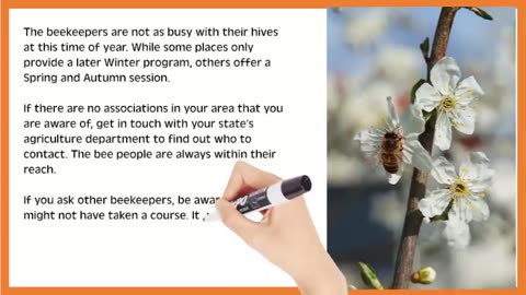 Should You Take a Beekeeping Class?