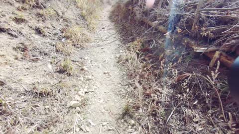 Mountain Hike in Yoshinoyama Cherry Blossom Mountain in 2.7K