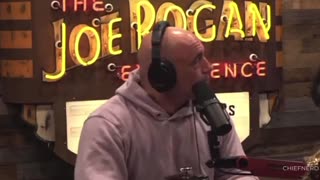 Joe Rogan and Jim Breuer Talk USA BioWeapons In Ukraine