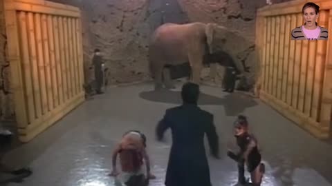 Elephant Vanish Magic