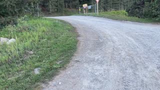 Lonsomhurst Campground, West Yellowstone MT