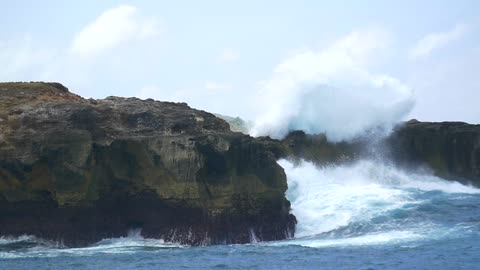 Beautiful Ocean Wave