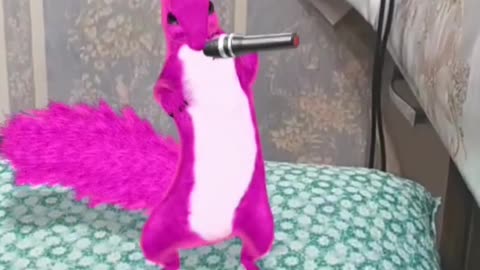 Beatboxing Squirrel