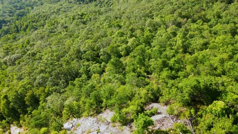 Drone Footage of a Hill Top Forest