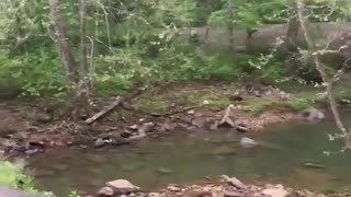 Tractor-Trailer Bounces Over Narrow Bridge