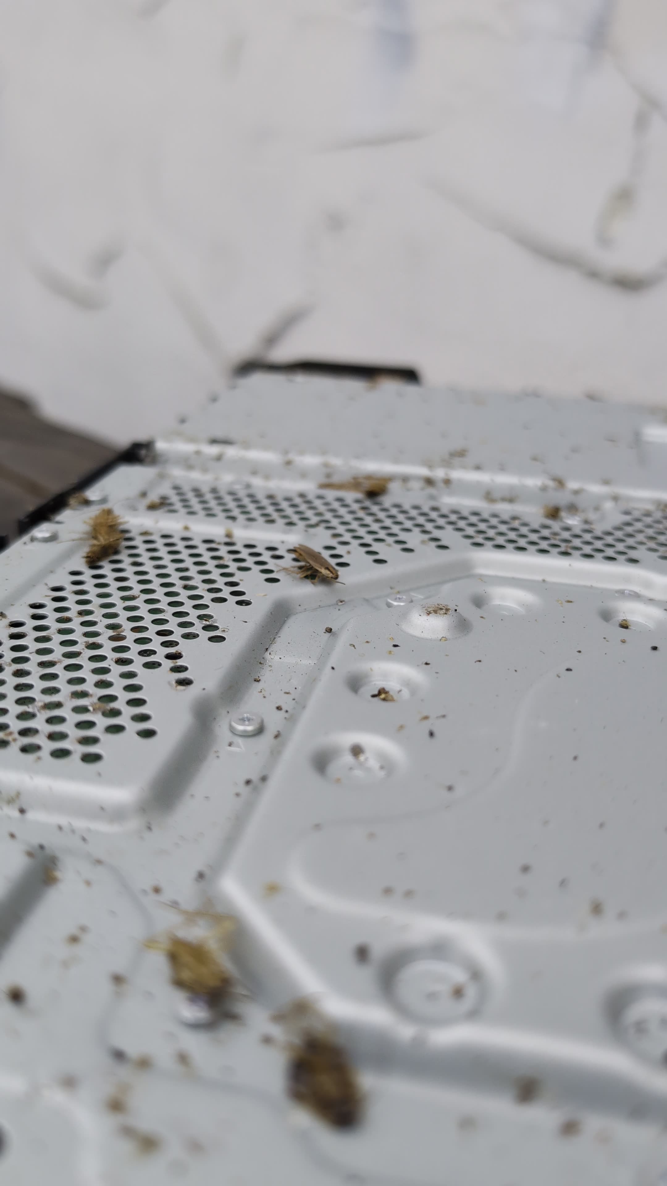 PS4 Roaches Blown Away!