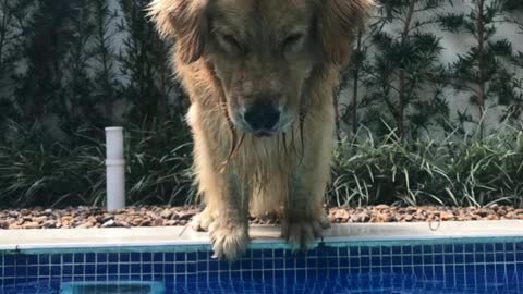 He love a swimming pool