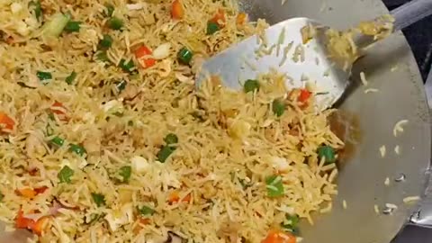 Rice Recipes / Pakistani Foods / biryani