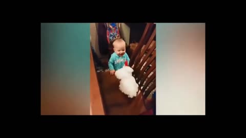 "Baby Fun and Frights: Cotton Box Play, and Joyful Moments - Funniest Video Compilation"