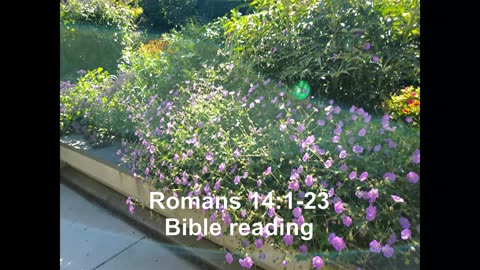 Romans 14:1-23