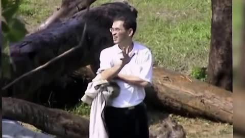 Crazy Man Entered The Lions Cage in Taipei Zoo Horrible mp4